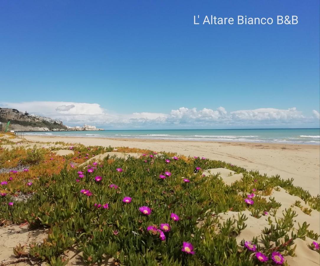 B&B L'Altare Bianco Vieste Luaran gambar