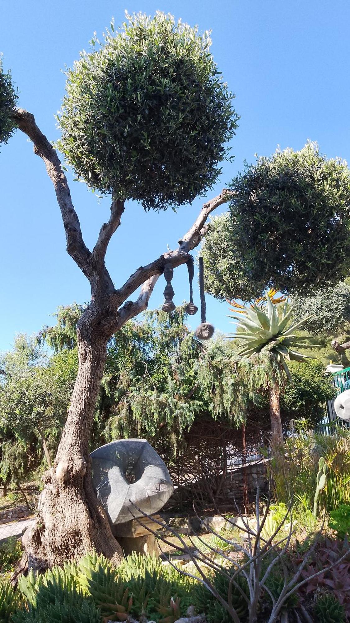 B&B L'Altare Bianco Vieste Luaran gambar